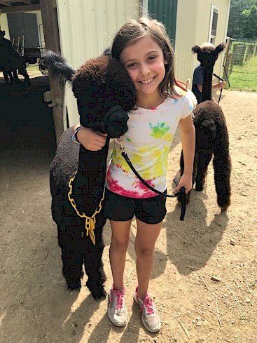 Caring for our sweet alpacas!